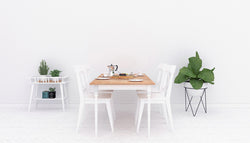 Phasellus nec erat dui. Pellentesque ut laore